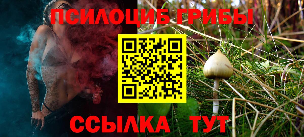 Псилоцибиновые грибы MAGIC MUSHROOMS  Вход с VPN  Кореновск  Псилоцибиновые грибы мухоморы 