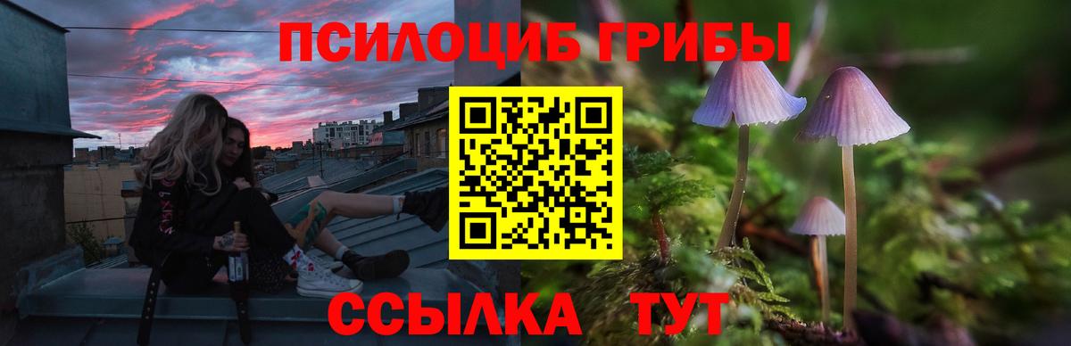 Псилоцибиновые грибы мицелий Кореновск